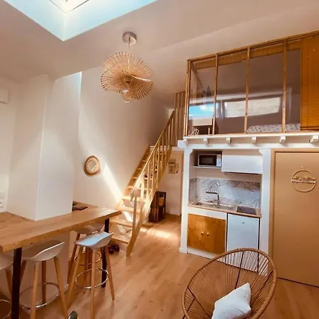 Appartement Cosy Cœur De Lille